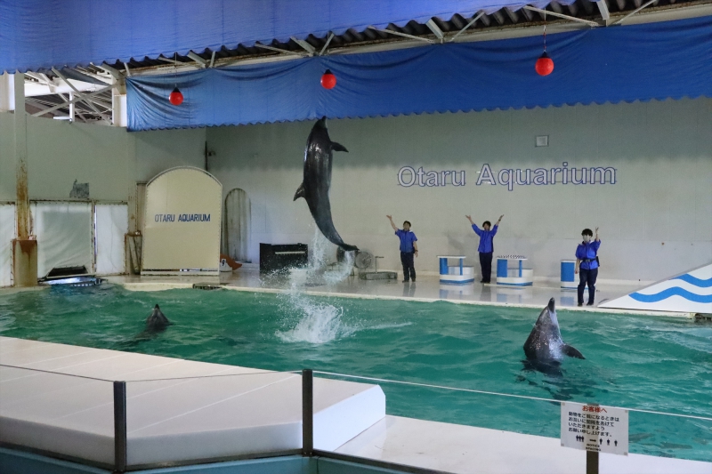 おたる水族館 北海道小樽市 07 03 10 19 イルカショー バンドウイルカ 北海道の動物園 水族館